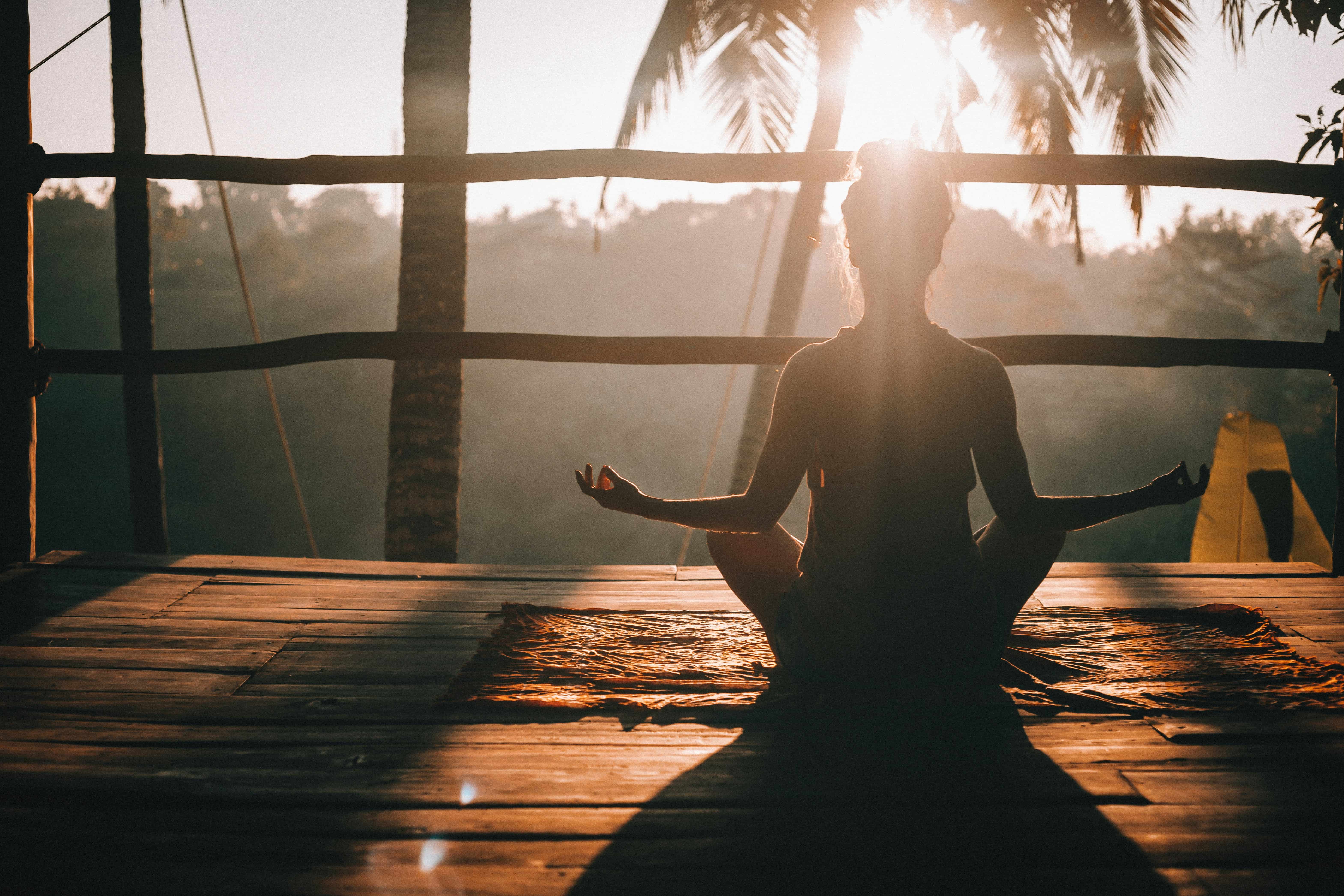 Ayurveda & Wellness Holiday